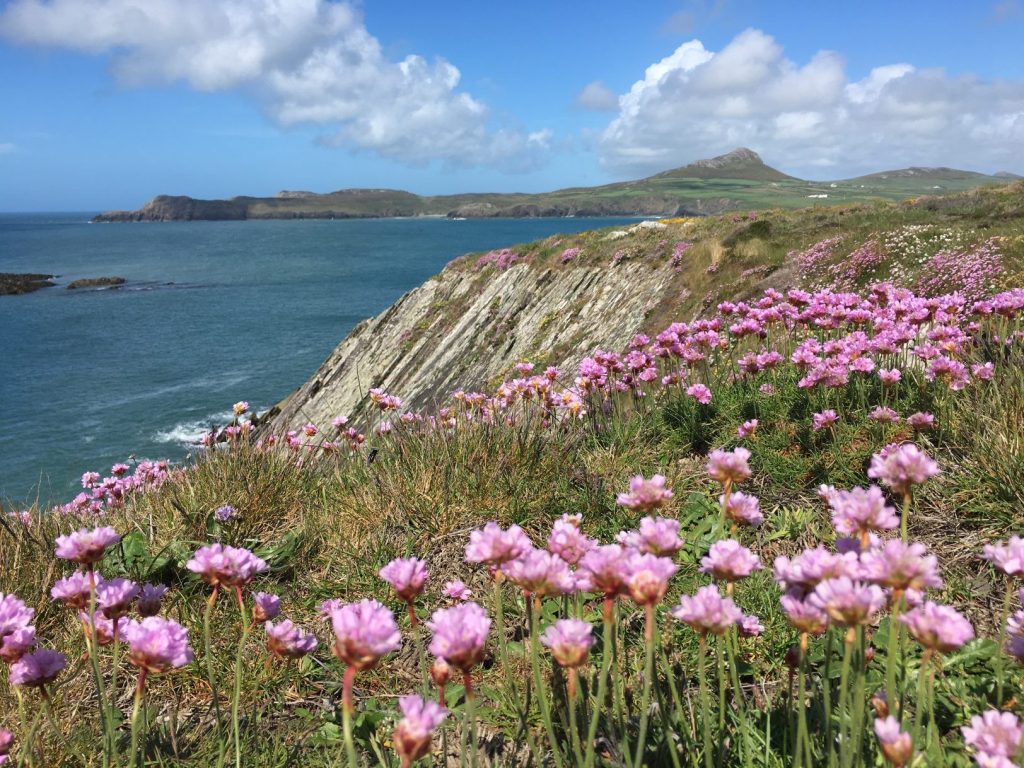 Yn Y Ty St Davids Clifftops 
